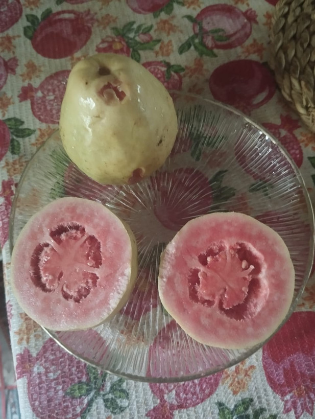 نهال گواوا کینگ (آمریکایی)