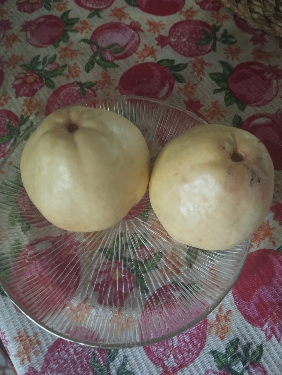 نهال گواوا کینگ (آمریکایی)
